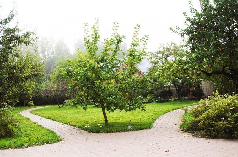 Apartamentai Obelyne Паланга Екстериор снимка