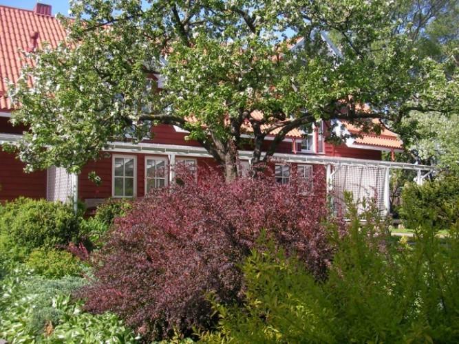 Apartamentai Obelyne Паланга Екстериор снимка